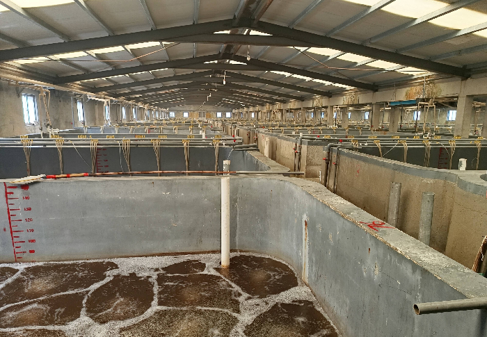 投資4.5億元 沾化整建制推進(jìn)城區(qū)地?zé)崮芄┡?地?zé)豳Y源開發(fā)-地大熱能 投資4.5億元 沾化整建制推進(jìn)城區(qū)地?zé)崮芄┡?地?zé)豳Y源開發(fā)-地大熱能